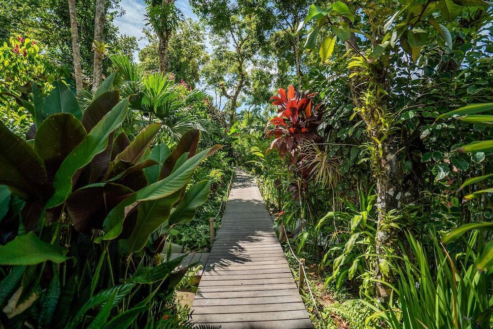 Pousada Do Bosque Porto Seguro Eksteriør billede